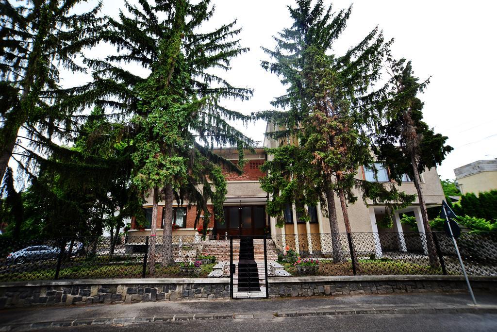 Casa Negustorului Hotel Deva Buitenkant foto
