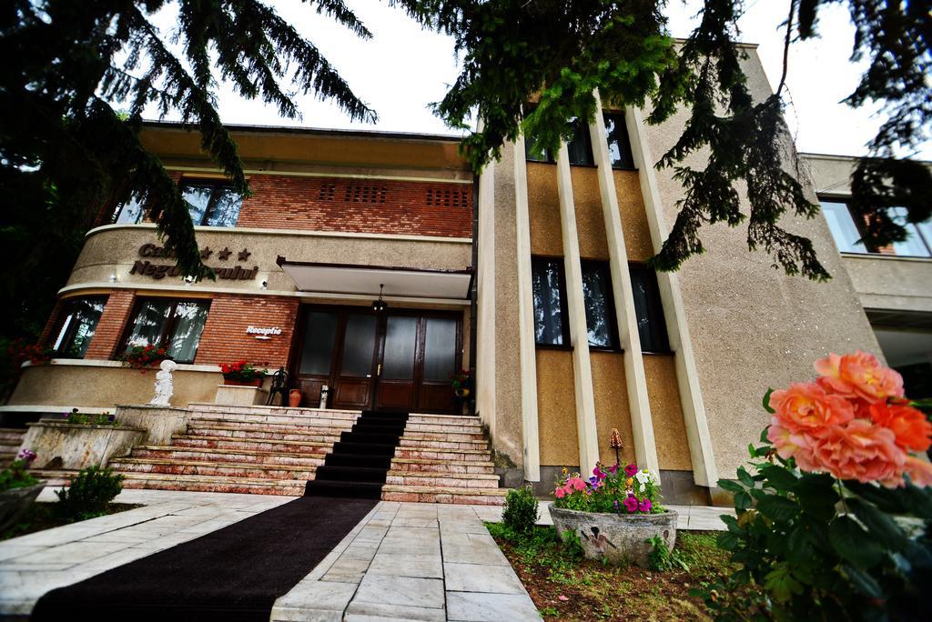 Casa Negustorului Hotel Deva Buitenkant foto