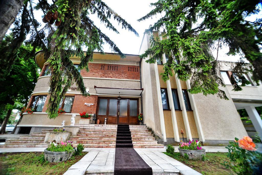 Casa Negustorului Hotel Deva Buitenkant foto
