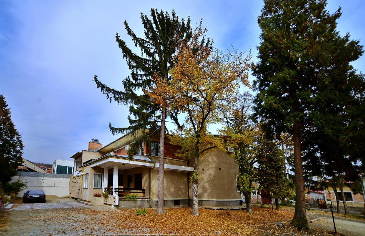 Casa Negustorului Hotel Deva Buitenkant foto